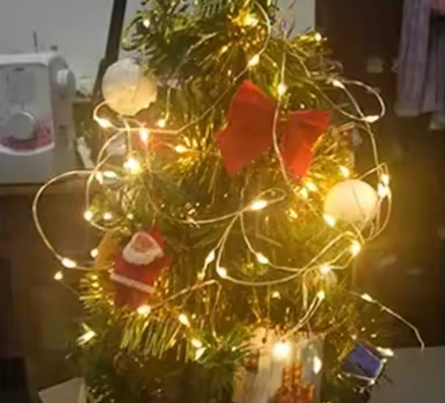3m Luxury Christmas lights